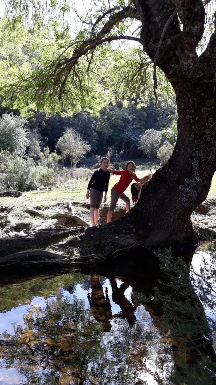Las Lucías, experiencias de ecoturismo Navatrasierra Exterior foto