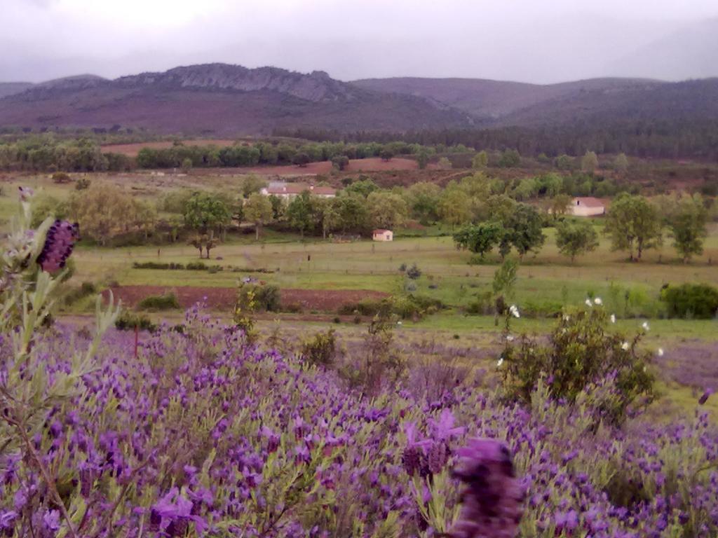Las Lucías, experiencias de ecoturismo Navatrasierra Exterior foto